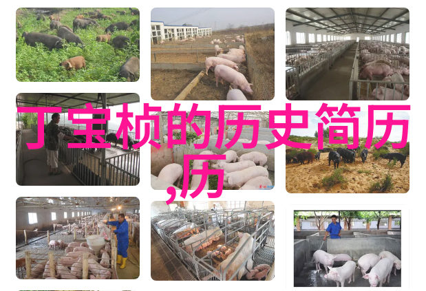 科普红酒文化咱们来品一杯知情的喜悦