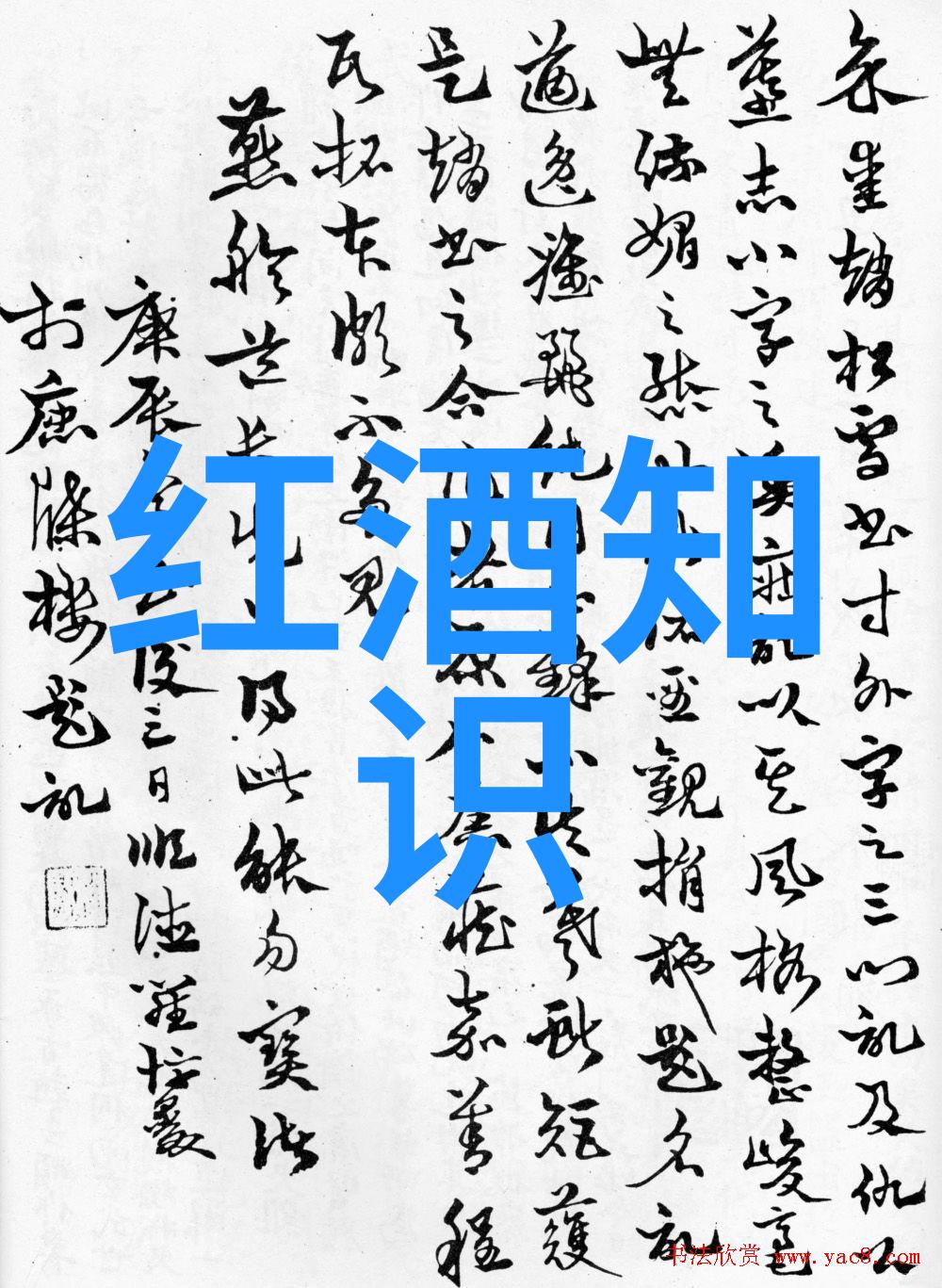 红色金字塔揭秘阿根廷不同等级红酒的特点与收藏价值