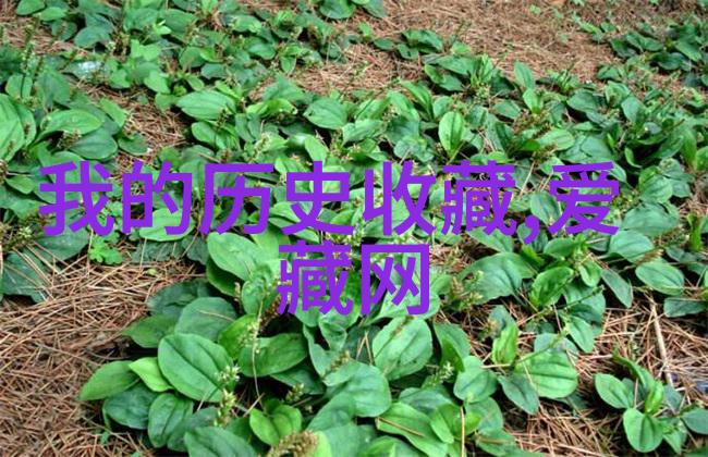 法国红葡萄酒品种大全 BordeauxBurgundyGamayMerlotPinot NoirSa