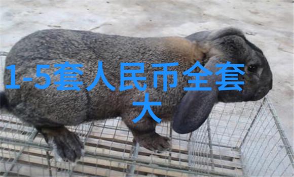 百度搜索技巧如何高效地提问获取答案百度搜索问题技巧提高查询效率