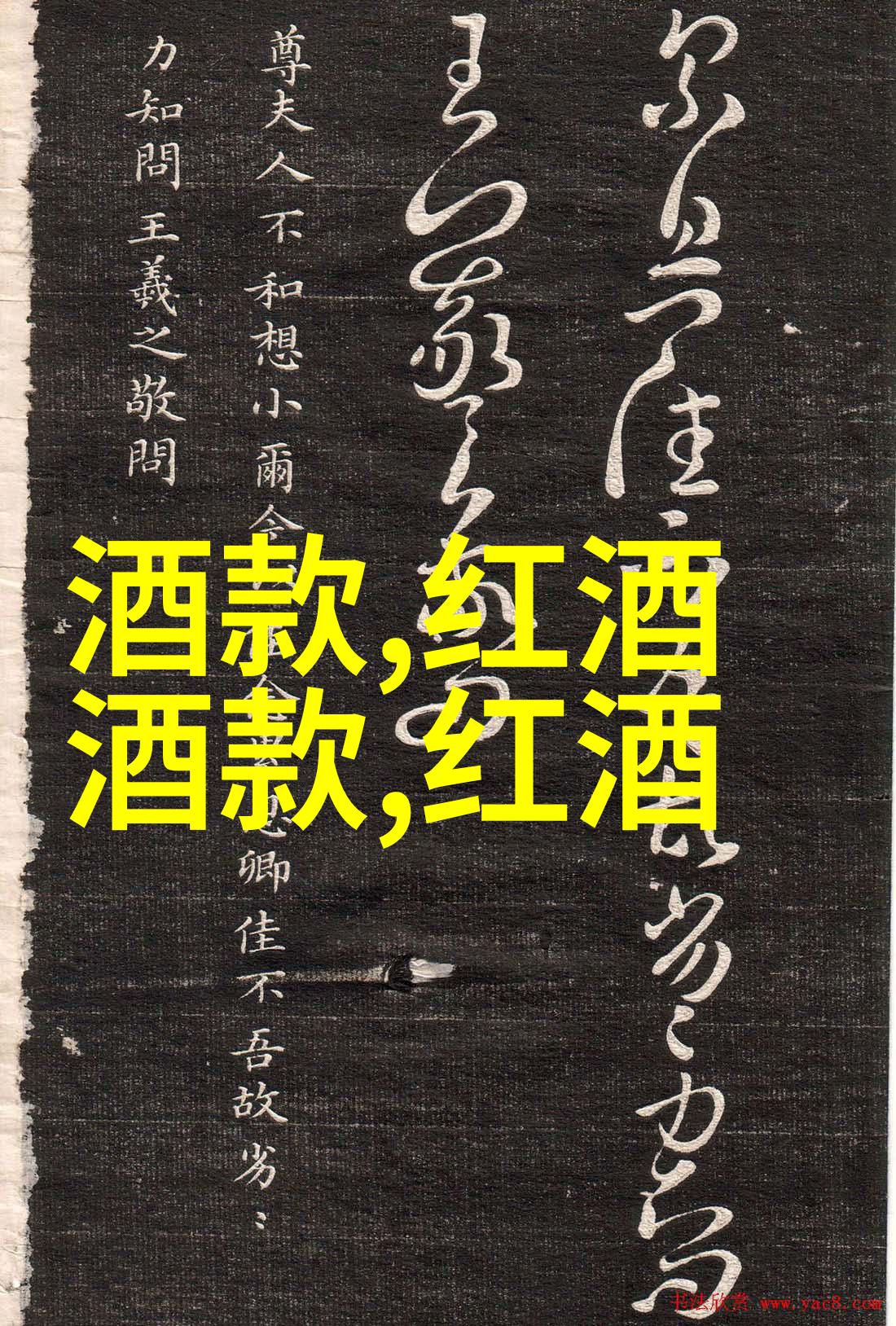 醉心佳酿探索红酒会的多样主题与风格