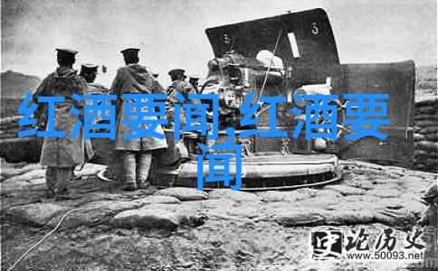 谁会品鉴最新年份葡萄酒探寻收藏历史的秘密在自然之中打开视野