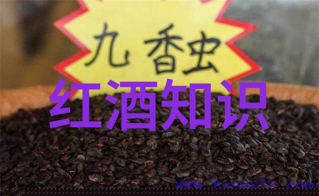 中国豪门寓所顶级奢华生活的象征