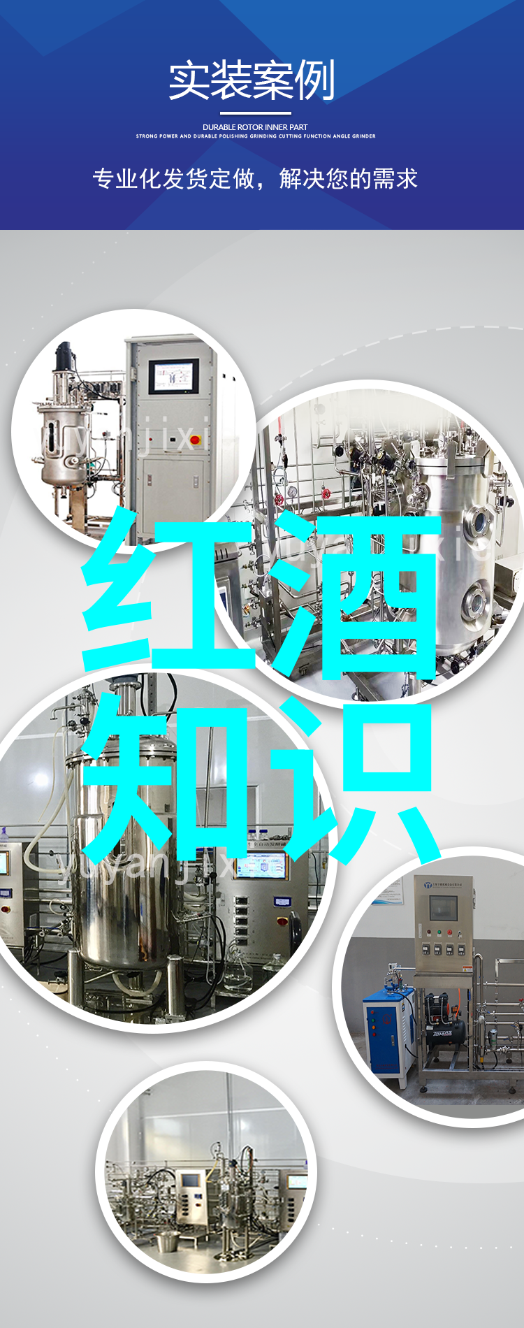 波尔多葡萄园里的智慧与艺术法国最著名的红酒产地
