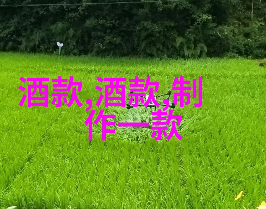 红酒在不同国家和地区中的文化角色有哪些差异