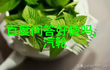 清朝文学之巅曹雪芹的艺术世界