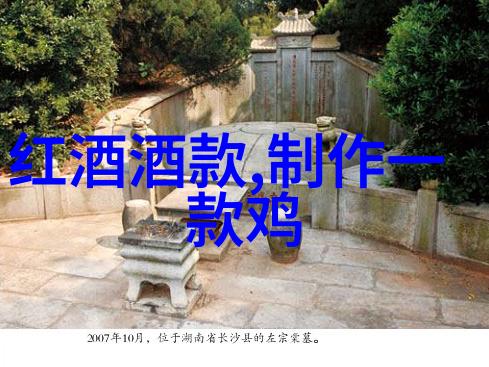 门多萨葡萄酒的风情与魅力