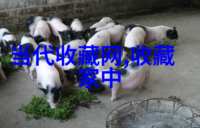 股市智慧揭秘指数基金的价值之谜
