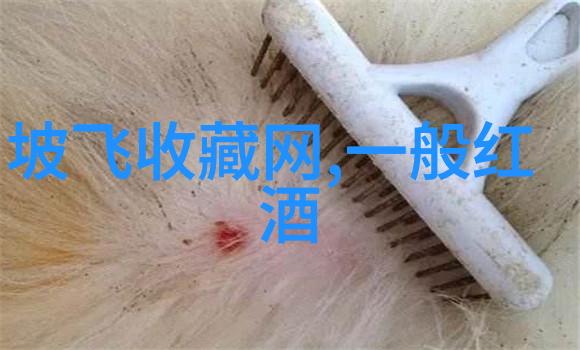 成都一天一日游去哪里最好我在成都的一天一点也不遗憾
