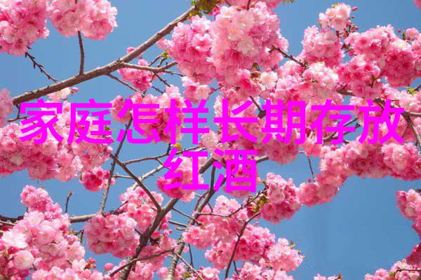 传统技艺与现代技术黄河流域农民创新种植方法
