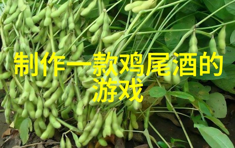 在上海周边可以体验传统文化的城市有哪几个