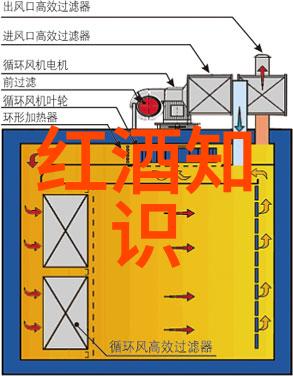 活力每一天追逐健康快乐的生活方式