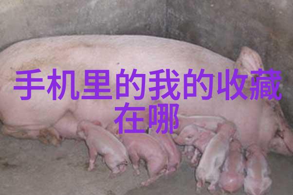 打开我的收藏中心探索其中的惊喜几乎一半的酒商正在不懈地寻找他们产品系列中那份绝佳价值的大众葡萄酒