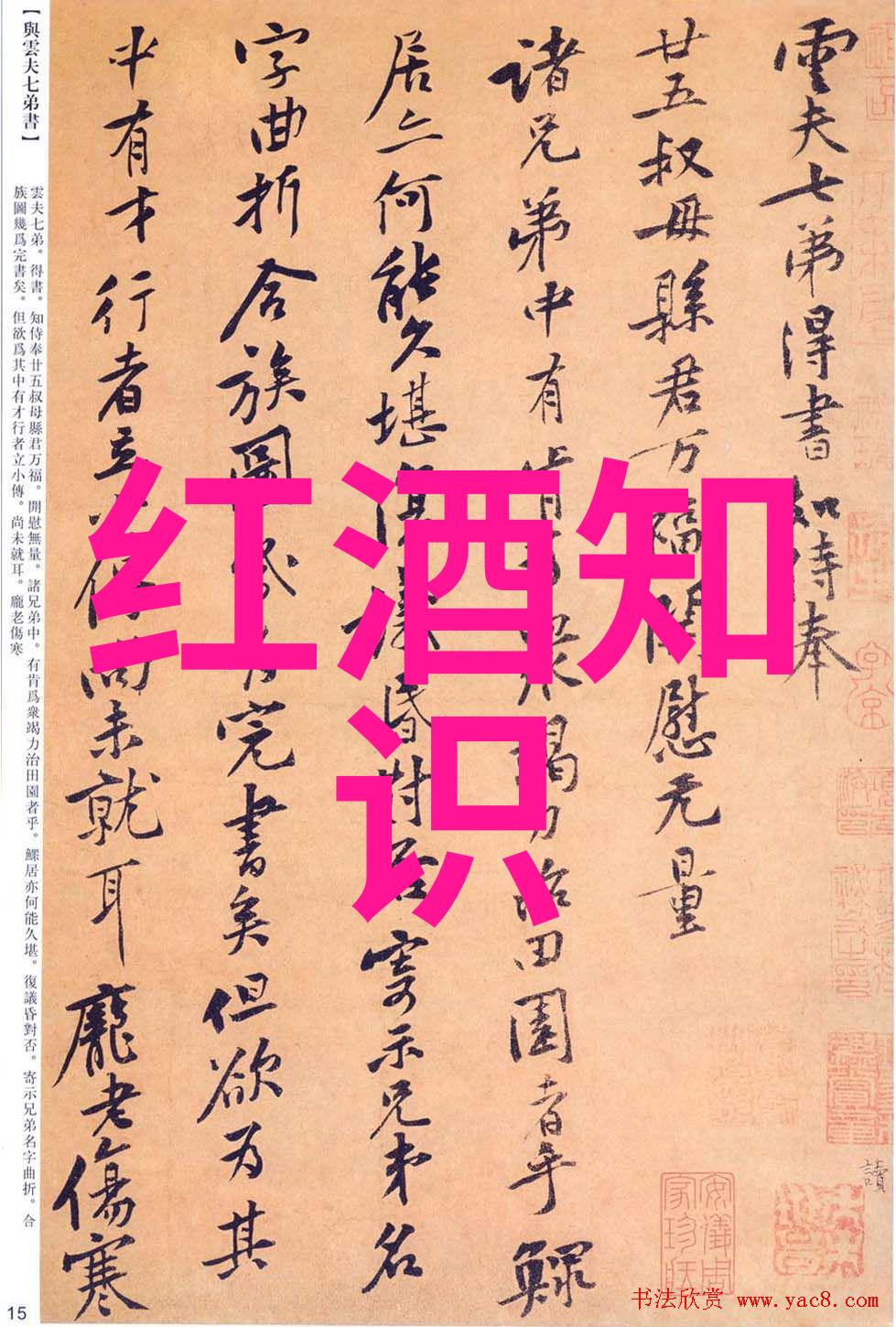 鲜花盛开农作物成熟蒙哈榞产区春天的生机勃勃景象