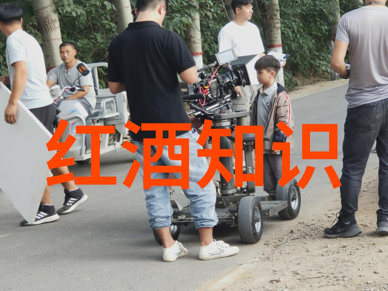 免费找整本作业答案的软件-偷学高手揭秘那些神奇的免费作业答案软件