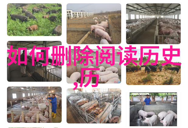 画皮死人尸体变身艺术家