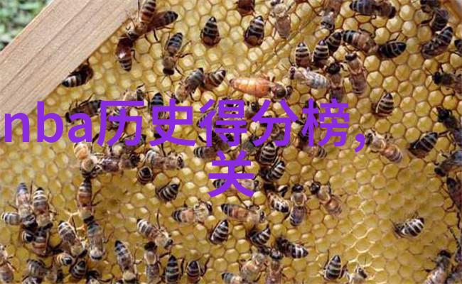 探索近畿之美3天游深圳周边城市奇遇