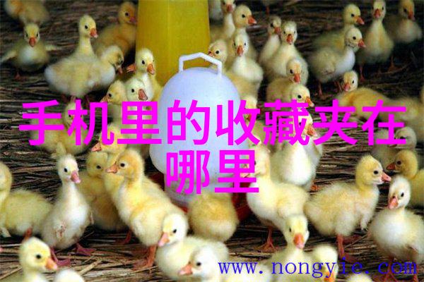 中国女子闯入海湖庄园-逆袭的华美一位中国女子在美国梦中的奇遇