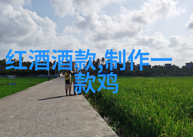 为奴十二年电影观后感揭示历史的沉重与人性的光芒