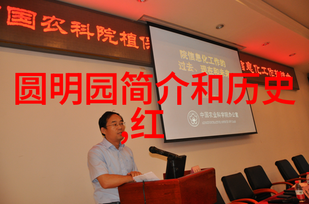 兄长的心尖宠我的小宝贝