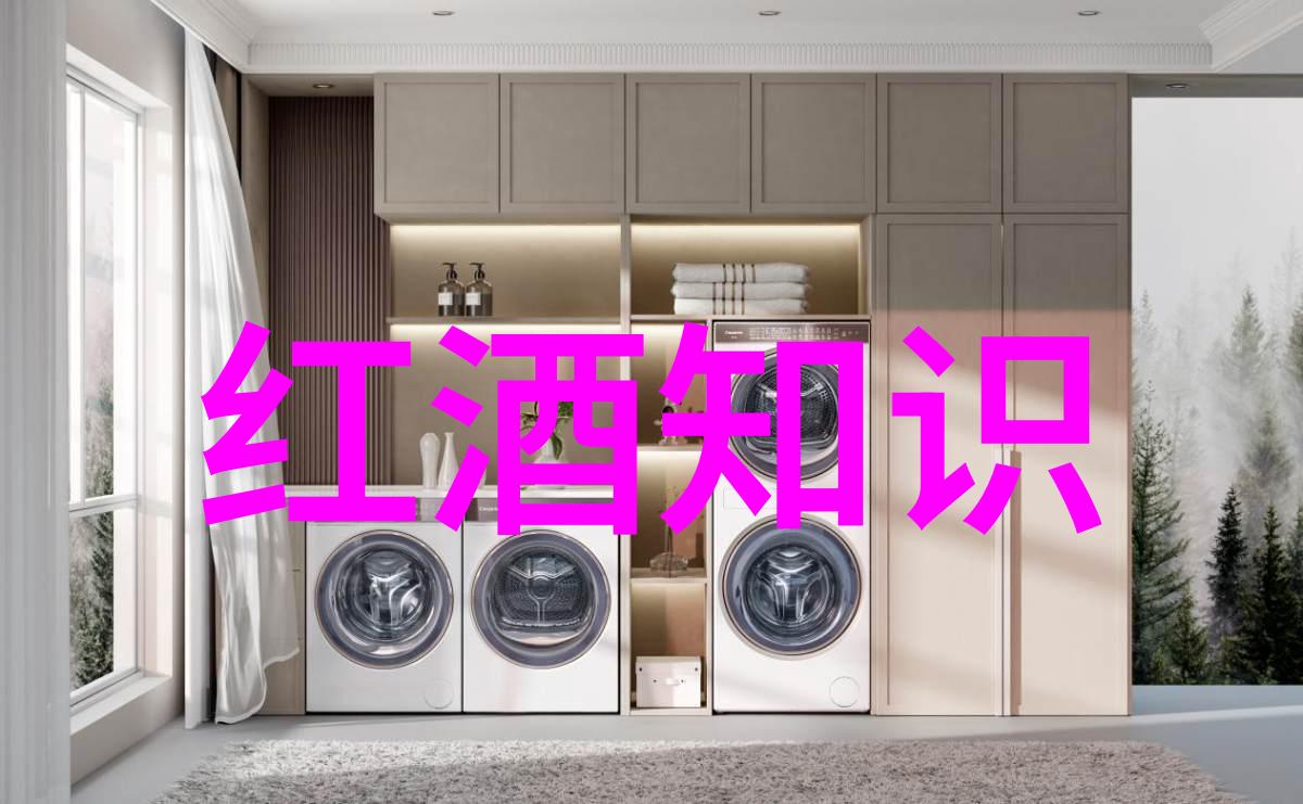 法国葡萄酒历史文化 - 醉心于时光探索法国葡萄酒的悠久传统与文化故事