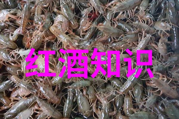 人物塑造深度剖析
