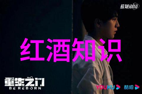 在阿根廷红酒产区的默尔索一个人物沉浸于葡萄园的宁静中