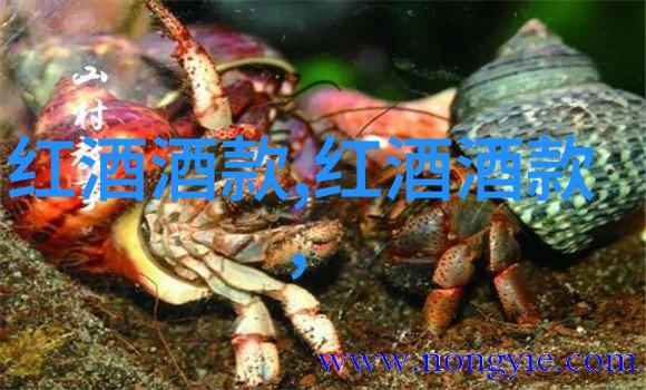 百度智慧赚钱机器解锁答题之路的秘密
