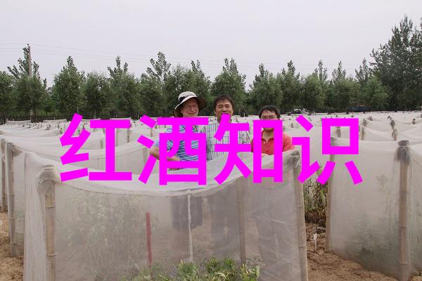 成都热门的户外运动场所推荐哪里能玩得开心又健康