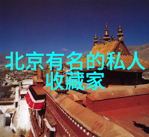 猫咪的种类与魅力一个图片丰富的探索