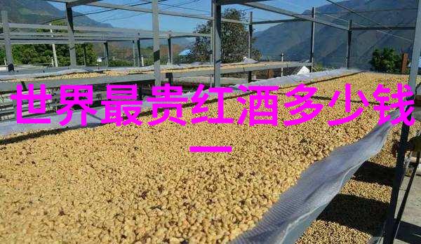 葡萄酒的八大产区之谜揭秘世界最著名的葡萄酒源头