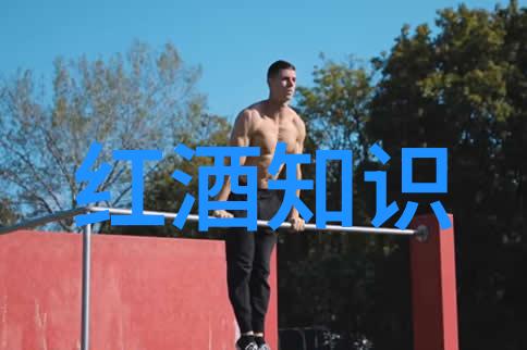 葡萄酒顶级产区之谜揭秘那些隐匿的酿酒艺术与传奇故事