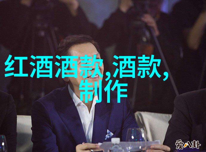 藏酒山谷农村自建酒窖的秘密与挑战