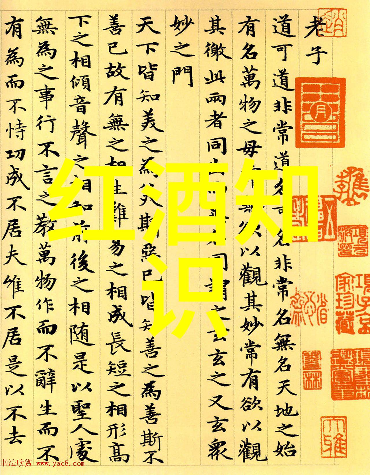 猫咪与植物共舞自然之美在花园中绽放