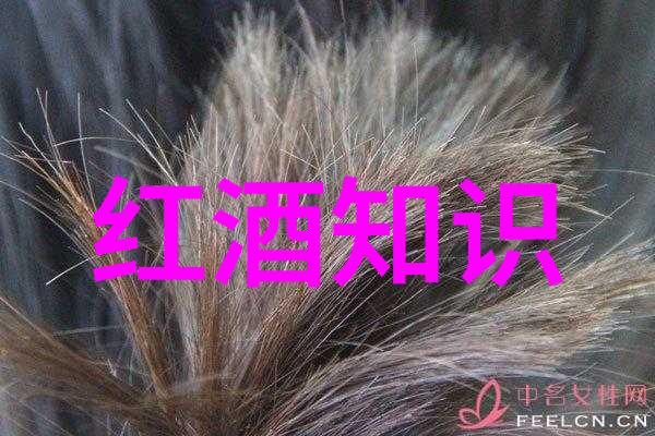 在时间长河里的味道变迁现代人的寻找古籍中的好喝的旅程