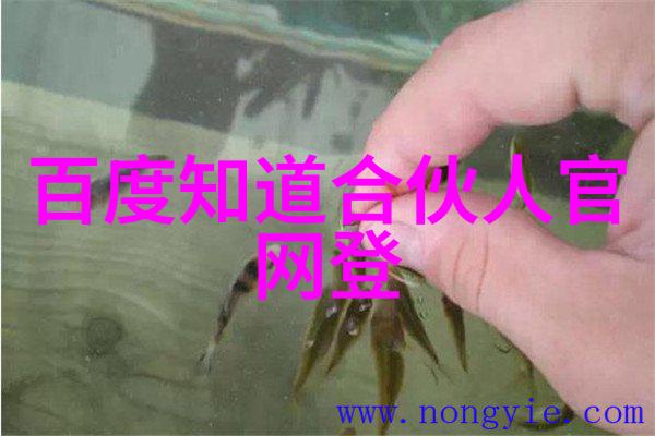 百度知道首页上的高质量回答评估标准是什么