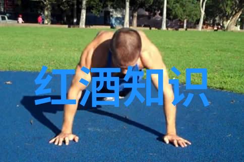 探索法国红酒巅峰哪个产区的葡萄酒最值得收藏