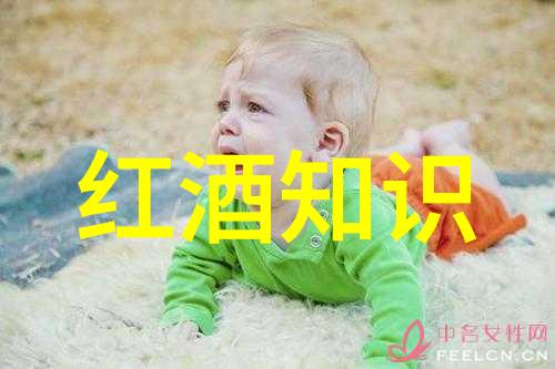 12348法律援助真的是免费的吗揭秘那些隐藏的费用和条件