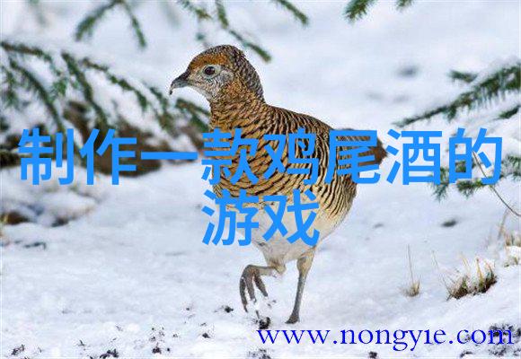 我的私人收藏宝库精选珍贵物品