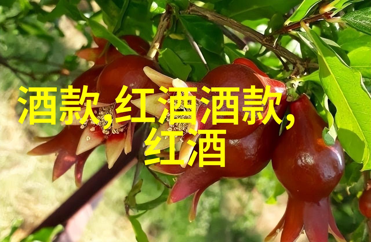 在一位美国葡萄酒夫人的家中罗伯特帕克这位传奇人物简直就像家人一样他的每一次光临都伴随着可爱的图片和温