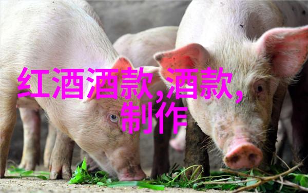 数字时代的古钱探索华夏钱币收藏网登录之旅