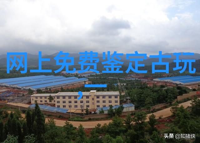 玉米大作战赤霞珠VS长相思品种较量
