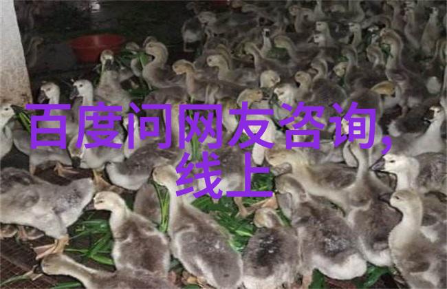 在西安周边踏青时挑对葡萄酒让宋仲基老公也被迷住