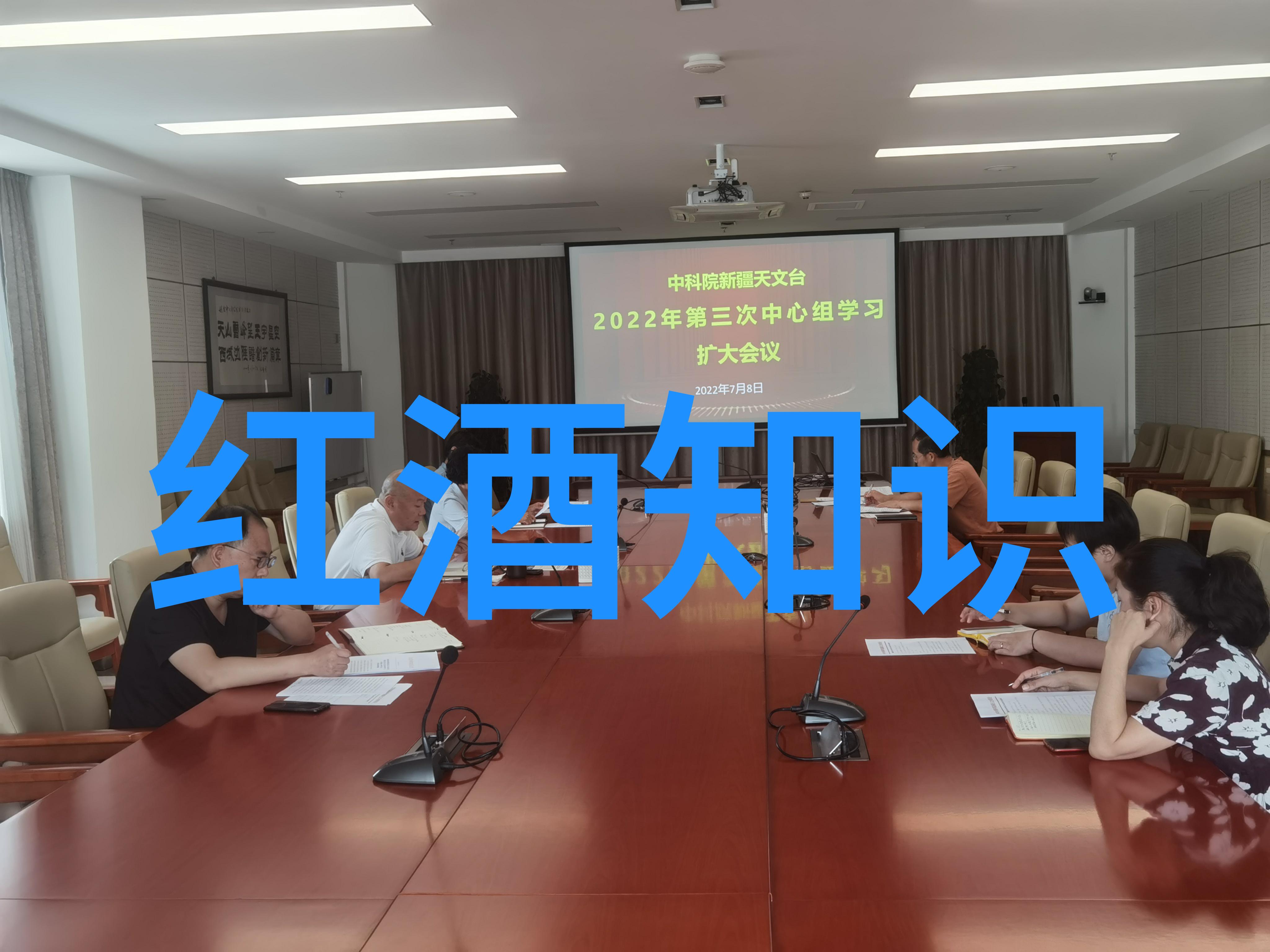 英国短毛