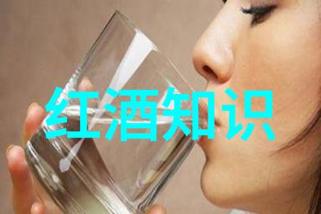 法国最大的葡萄酒产区探索阿尔萨斯的美丽风光与醇香故事