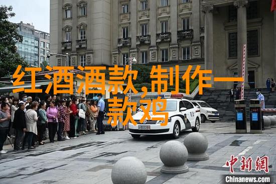 猫眼明珠探秘厄尔巴鲁澈的猫猫种类