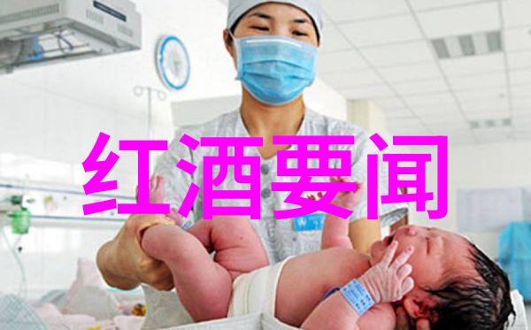 下载爱收藏 - 数码宝库如何高效管理你的数字资产
