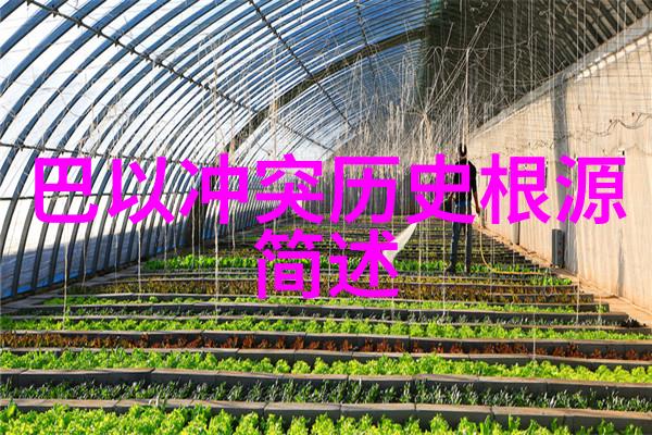宝妈们的后门解决之道共享经验与智慧