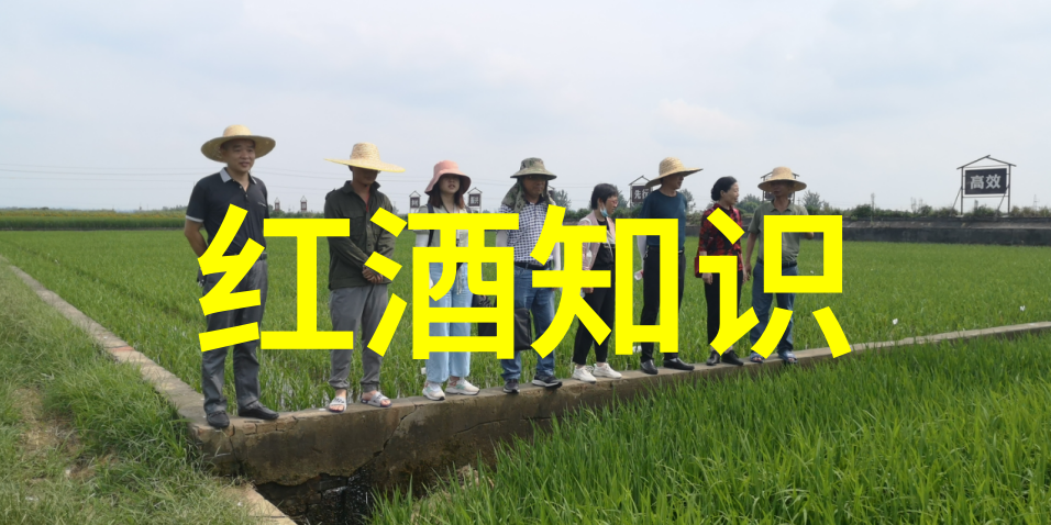 情深缘浅公园中的爱恋