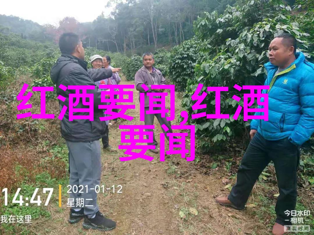 开封红酒保藏指南如何正确存放提升品质与延长保存期限